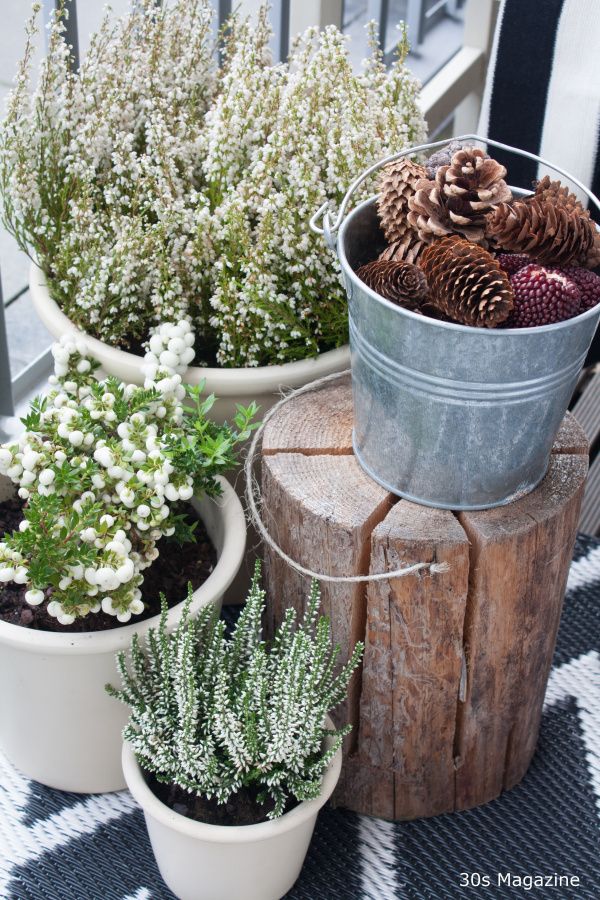 Idée pour décorer son balcon en hiver avec une bûche utilisée comme support pour un pot rempli de pommes de pin.