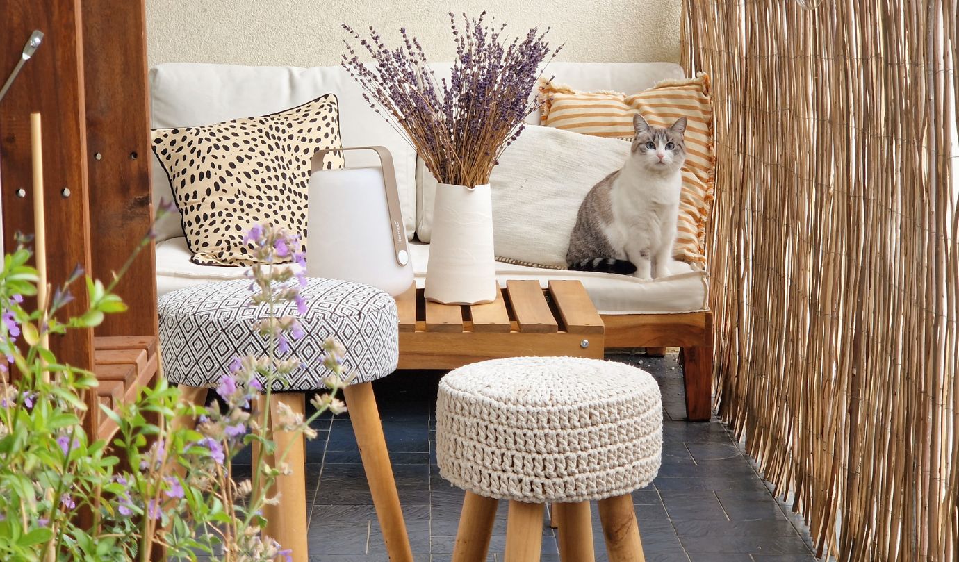 balcon verdi et décoré en été à Courbevoie avec chat sur une banquette en bois