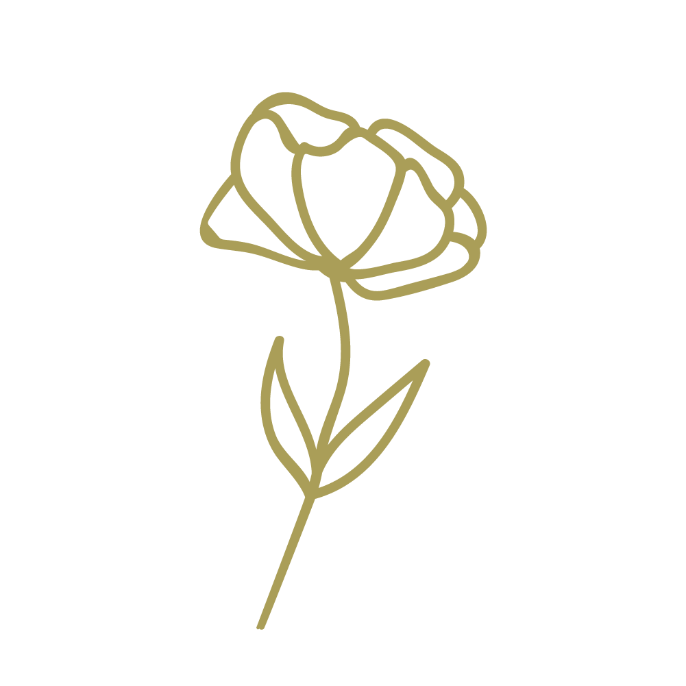 jacinthe bordeaux petites garrigues