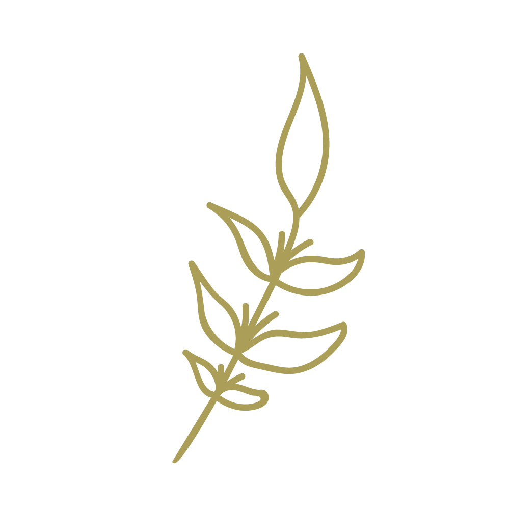 petites garrigues feuillage bordeaux