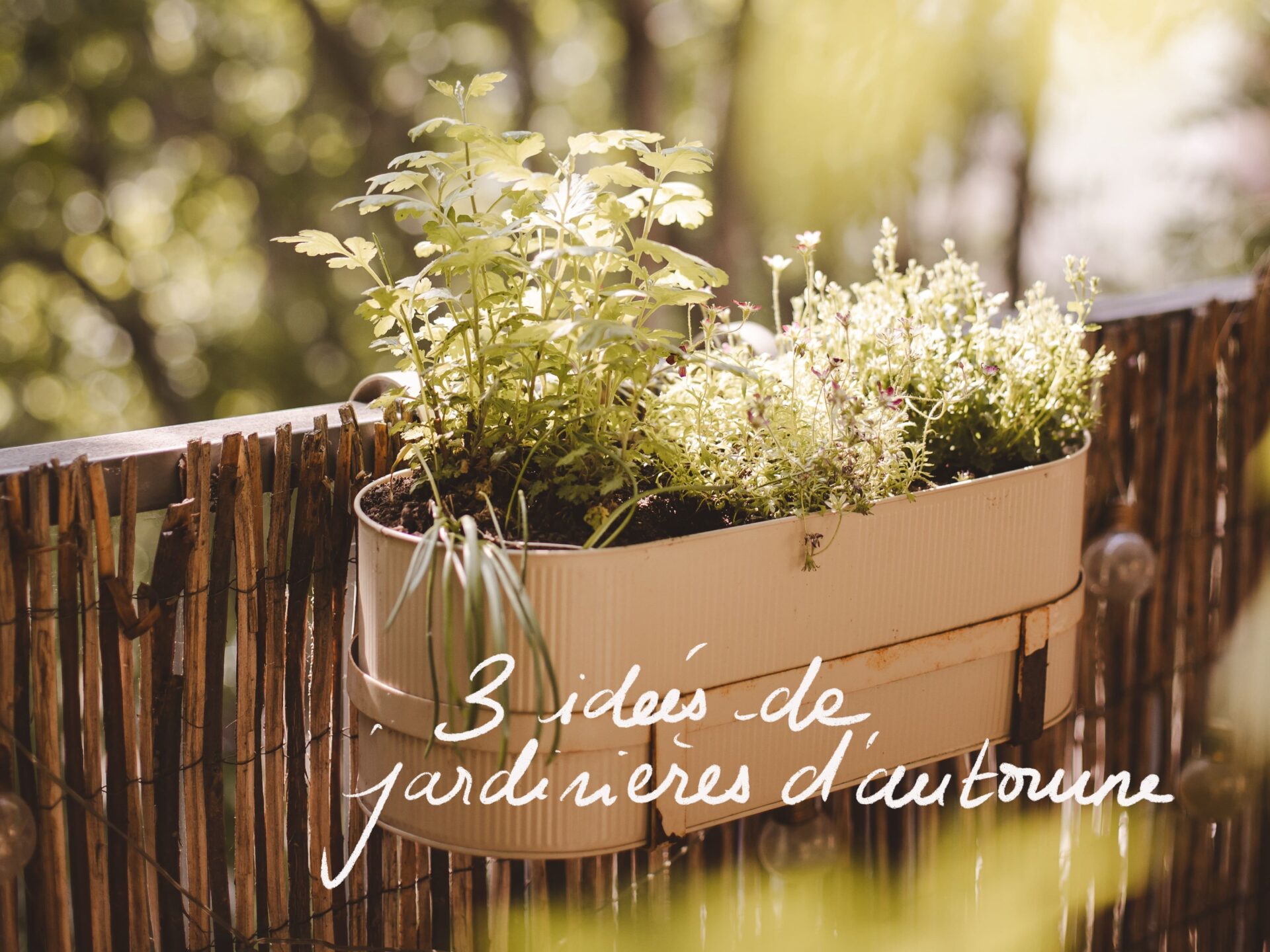 3 idées de jardinières d’automne stylées pour décorer votre extérieur