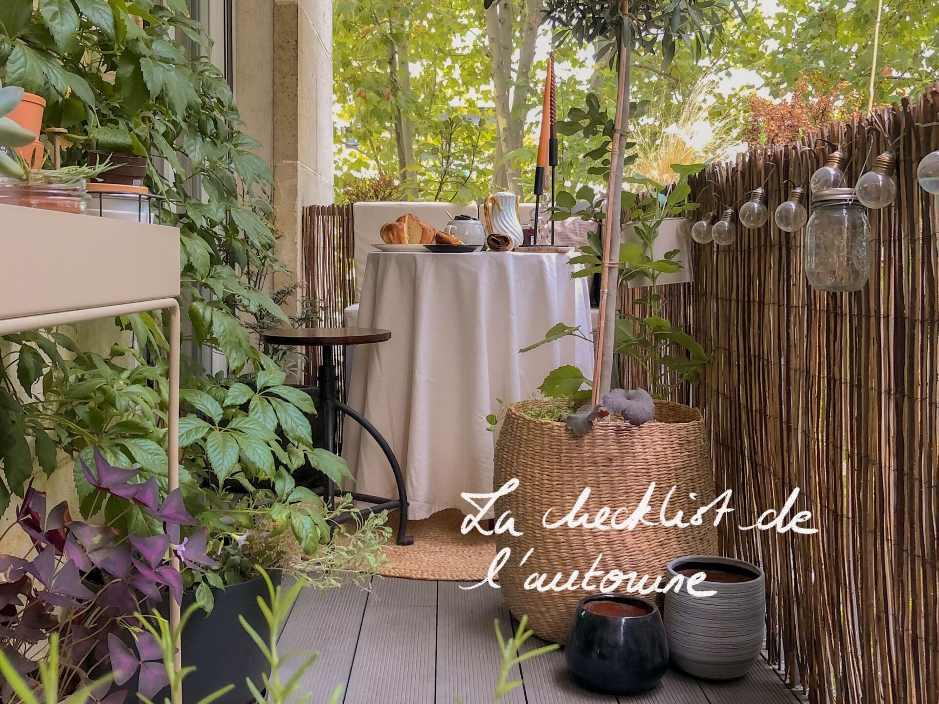 Un joli jardin d’automne en pot : la checklist de Petites Garrigues