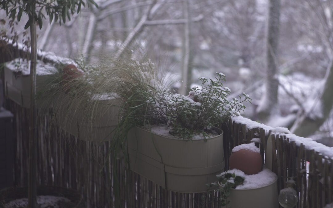 Comment décorer son balcon en hiver – 6 astuces uniques