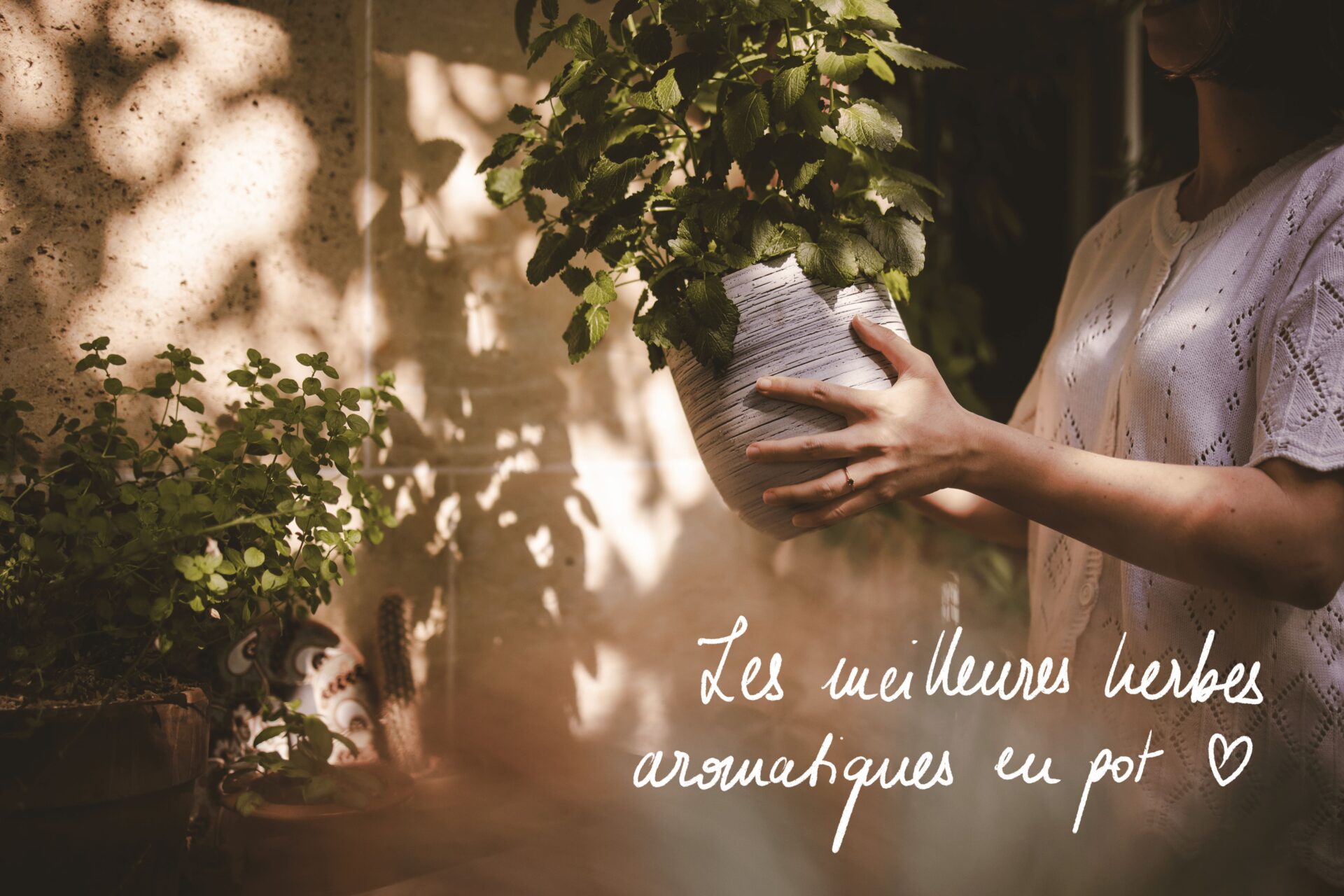 Les meilleures herbes aromatiques à cultiver sur son balcon en été